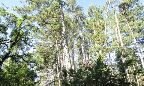 Rando Prunières, IMG_3946