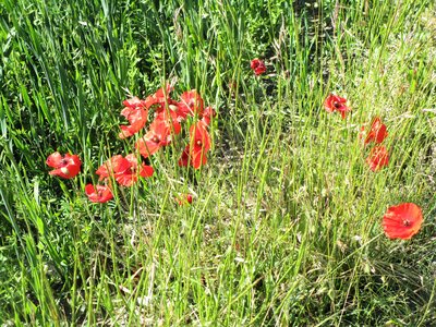 Rando Prunières, IMG_3958