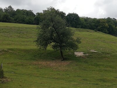 Balade_2020.06.14, IMG_20200614_172339