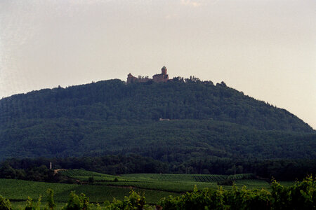 2005-2 randonnées, 023 Haut-Koenigsbourg, juillet 2005