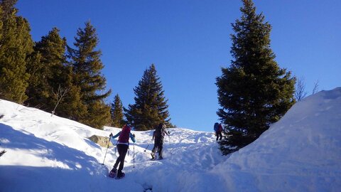2020-01-12 Raquettes au Lac Achard (Belledonne), 2020-01-12 Lac Achard 05