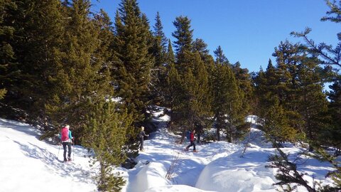 2020-01-12 Raquettes au Lac Achard (Belledonne), 2020-01-12 Lac Achard 09