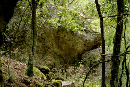 2005-2 randonnées, 029 Rocher du Sanglier, juillet 2005