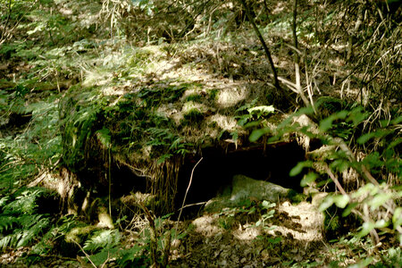 2005-2 randonnées, 039 Ancienne carrière du Frohnberg, juillet 2005