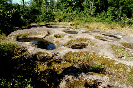 2005-2 randonnées, 040 Stamplfloecher, juillet 2005