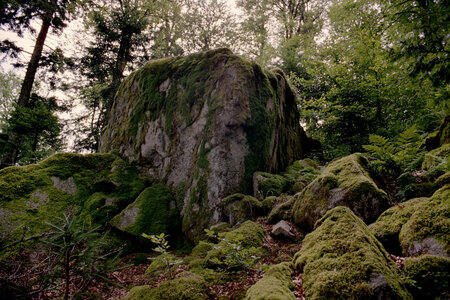 2005-2 randonnées, 063 Le Druidenstein ?, 23 juillet
