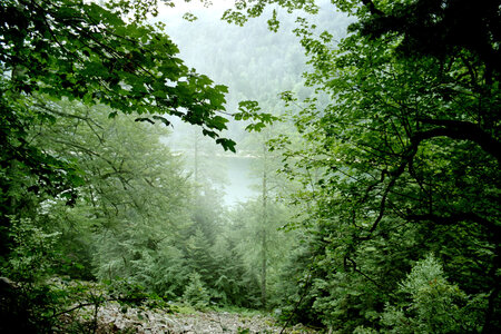 2005-2 randonnées, 082 Le lac des Corbeaux, 30 juillet