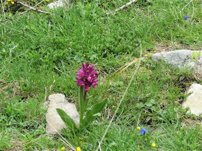 Boucle Dormillouse, IMG_6177
