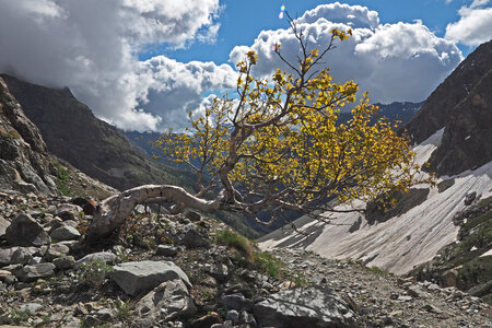 2020-06-17-19-refuge-du-sélé, glacier-de-sialouze-alpinisme-alpes-aventure-2020-06-19-40
