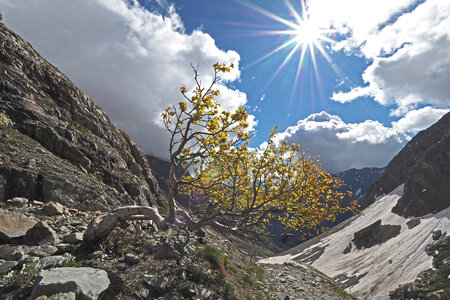 2020-06-17-19-refuge-du-sélé, glacier-de-sialouze-alpinisme-alpes-aventure-2020-06-19-41