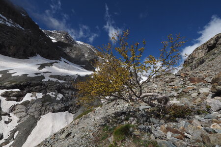 2020-06-17-19-refuge-du-sélé, glacier-de-sialouze-alpinisme-alpes-aventure-2020-06-19-42