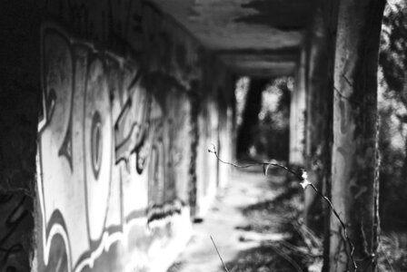 Retouches_argentique, 000038_01