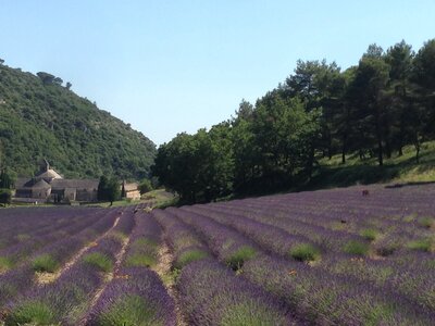 Alpilles, IMG_6808