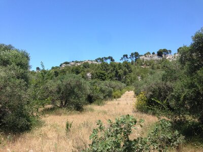 Alpilles, IMG_6706