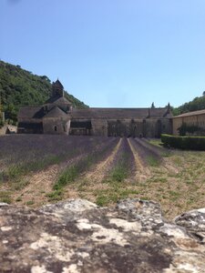 Alpilles, IMG_6803