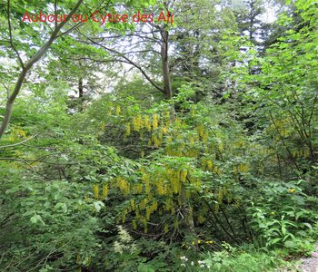 La Cluse Boucle des 3 cols, IMG_6262