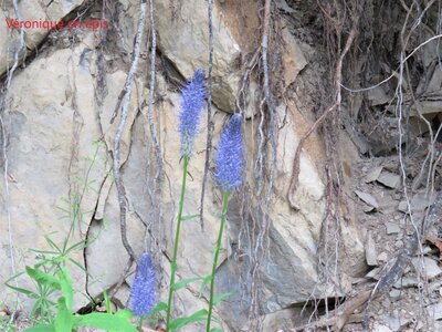 La Cluse Boucle des 3 cols, IMG_6263