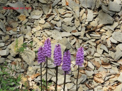 La Cluse Boucle des 3 cols, IMG_6264