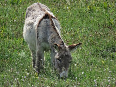 La Cluse Boucle des 3 cols, IMG_6272