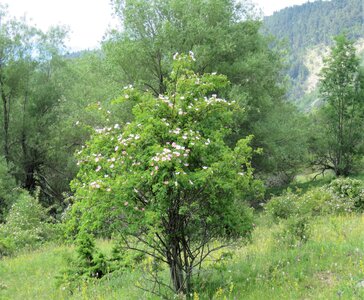 La Cluse Boucle des 3 cols, IMG_6276