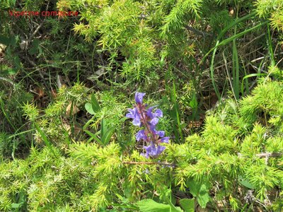 La Cluse Boucle des 3 cols, IMG_6279