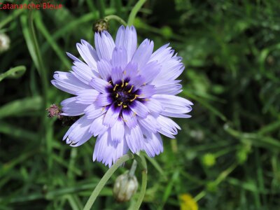 La Cluse Boucle des 3 cols, IMG_6287