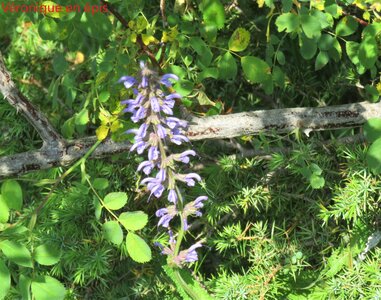 La Cluse Boucle des 3 cols, IMG_6293