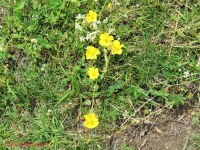 La Cluse Boucle des 3 cols, IMG_6308