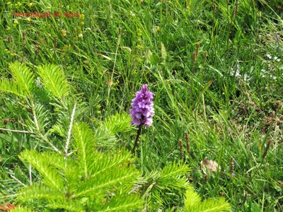 La Cluse Boucle des 3 cols, IMG_6314