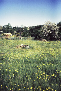 Retouches_argentique, 000049_01