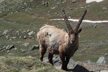 2020-06-21-26-grand-paradis, ascension-punta-rossa-alpinisme-alpes-aventure-guillaume-2020-06-22-41