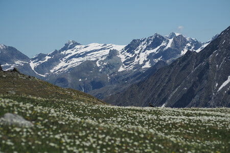 2020-06-21-26-grand-paradis, ascension-punta-rossa-alpinisme-alpes-aventure-guillaume-2020-06-22-48