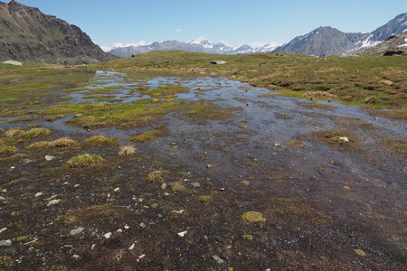 2020-06-21-26-grand-paradis, ascension-gran-serra-alpinisme-alpes-aventure-guillaume-2020-06-23-47