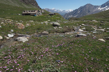 2020-06-21-26-grand-paradis, ascension-gran-serra-alpinisme-alpes-aventure-guillaume-2020-06-23-49