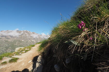 2020-06-21-26-grand-paradis, descente-refuge-vittorio-emanuele-alpinisme-alpes-aventure-guillaume-2020-06-26-10