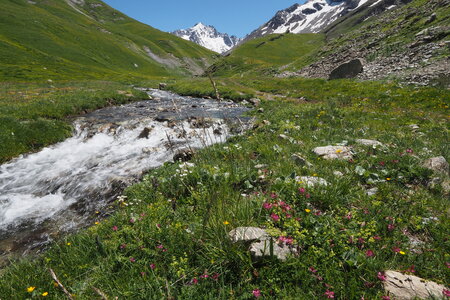 2020-06-29-07-03-meije, 2020-06-29-alpes-aventure-refuge-de-chamoissiere-02