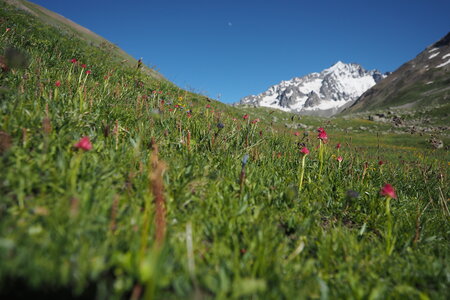 2020-06-29-07-03-meije, 2020-06-29-alpes-aventure-refuge-de-chamoissiere-04