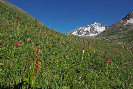 2020-06-29-07-03-meije, 2020-06-29-alpes-aventure-refuge-de-chamoissiere-05