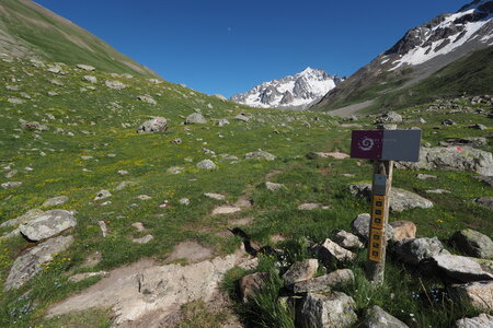 2020-06-29-07-03-meije, 2020-06-29-alpes-aventure-refuge-de-chamoissiere-08