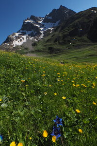 2020-06-29-07-03-meije, 2020-06-29-alpes-aventure-refuge-de-chamoissiere-18
