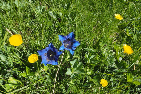 2020-06-29-07-03-meije, 2020-06-29-alpes-aventure-refuge-de-chamoissiere-19