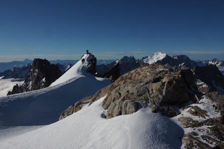 2020-06-29-07-03-meije, ascension-meije-orientale--alpinisme-alpes-aventure-2020-07-03-41