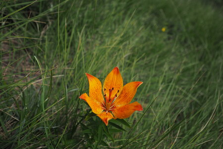 2020-06-29-07-03-meije, ascension-meije-orientale--alpinisme-alpes-aventure-2020-07-03-49