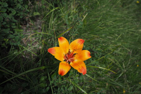 2020-06-29-07-03-meije, ascension-meije-orientale--alpinisme-alpes-aventure-2020-07-03-51