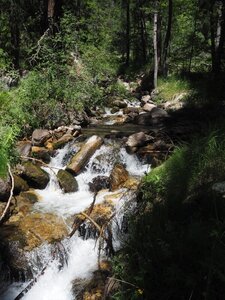 2020, Torrent de Sacha