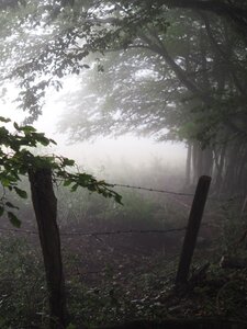 2020, P7160406