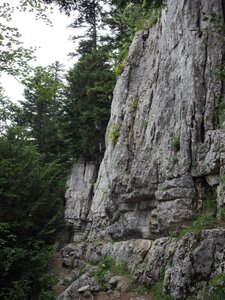 2020, P7150331