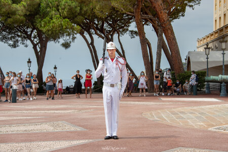 Relève de la garde du 21 juillet 2020, relève20jui20  49 sur 224 