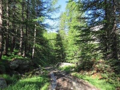Lacs Marinet, 2