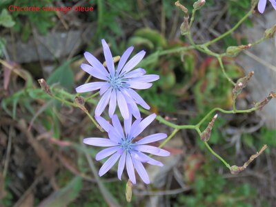 PIOLIT, IMG_6508